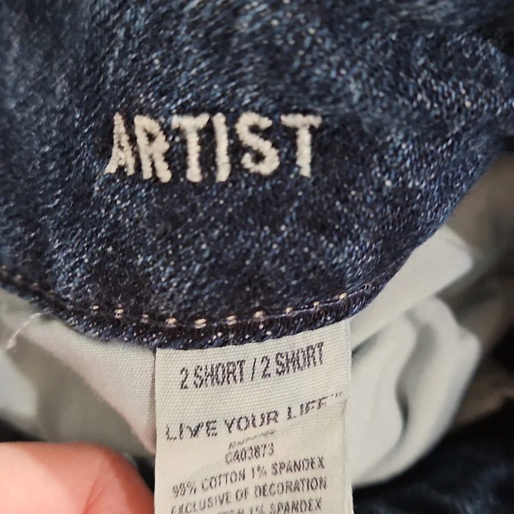 American Eagle Blue Flare Wide Leg Jeans SIZE 2 ARTIST - Picture 3 of 5